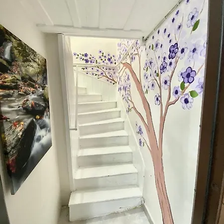 Sultanahmet Mansion * 伊斯坦布尔