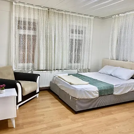别墅 Sultanahmet Mansion 伊斯坦布尔